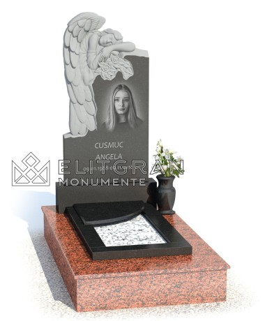 Гранитный надгробный памятник К832