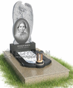 Гранитный надгробный памятник К806